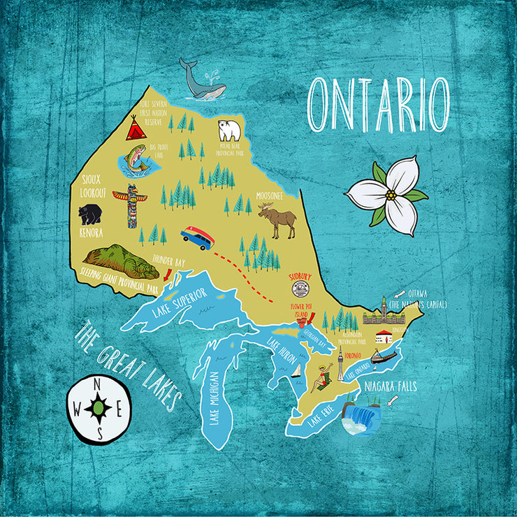 Province Ontario Map Pillow By Persnickety Design