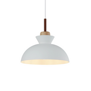 3059 Pendant Light