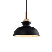 3059 Pendant Light