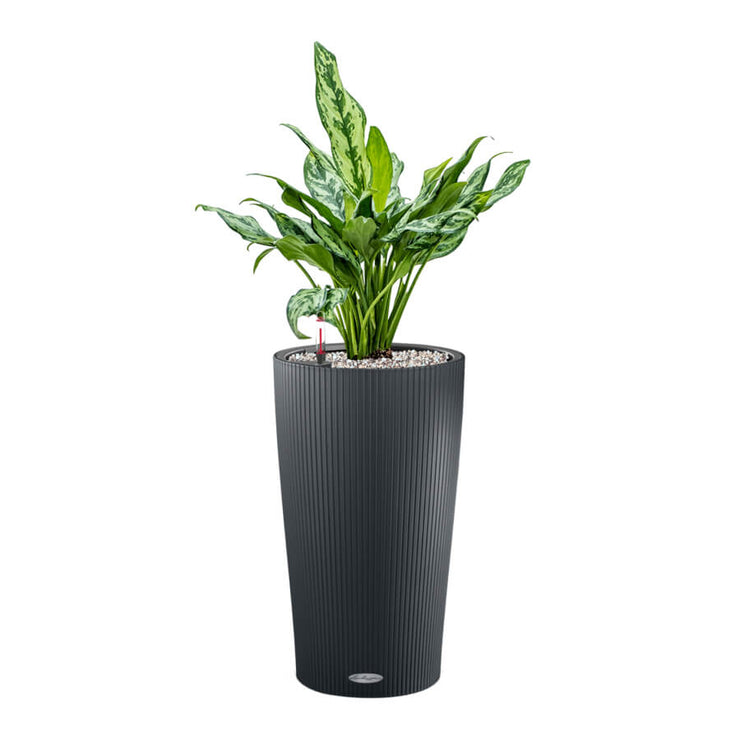 Lechuza Cilindro 23 Planter