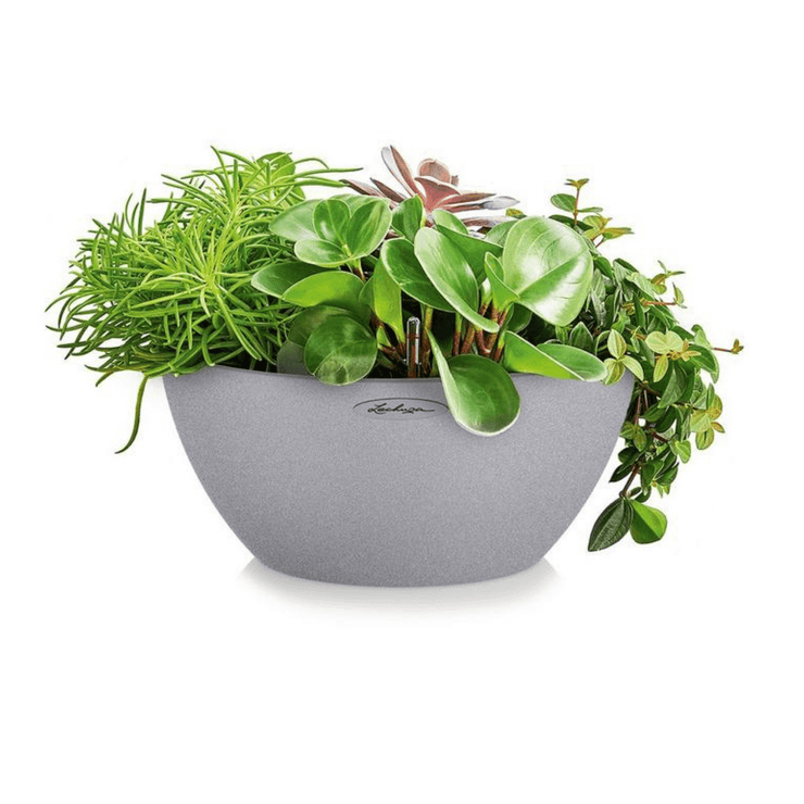 Lechuza Cubeto Stone Planter