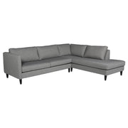 Patti 2 Piece Sectional Sofa